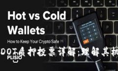 TPWalletDOT质押投票详解：理